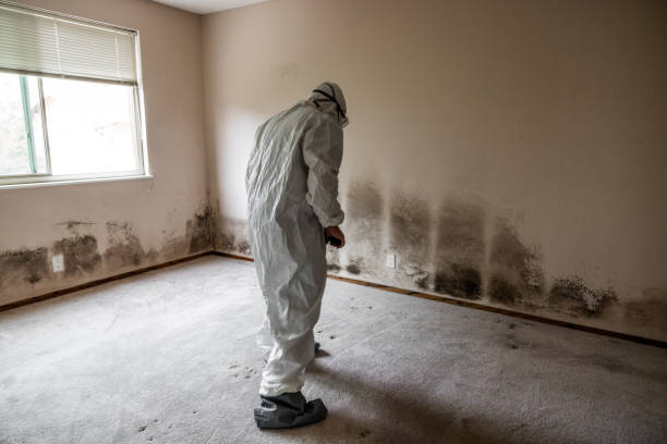 Best Crawl Space Mold Removal  in Medina, OH
